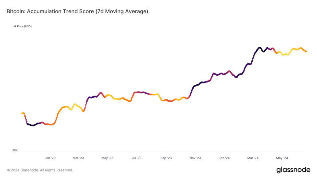 امتیاز روند انباشت: آیا نهنگ ها در حال انباشت بیت کوین هستند؟(Accumulation trend score)