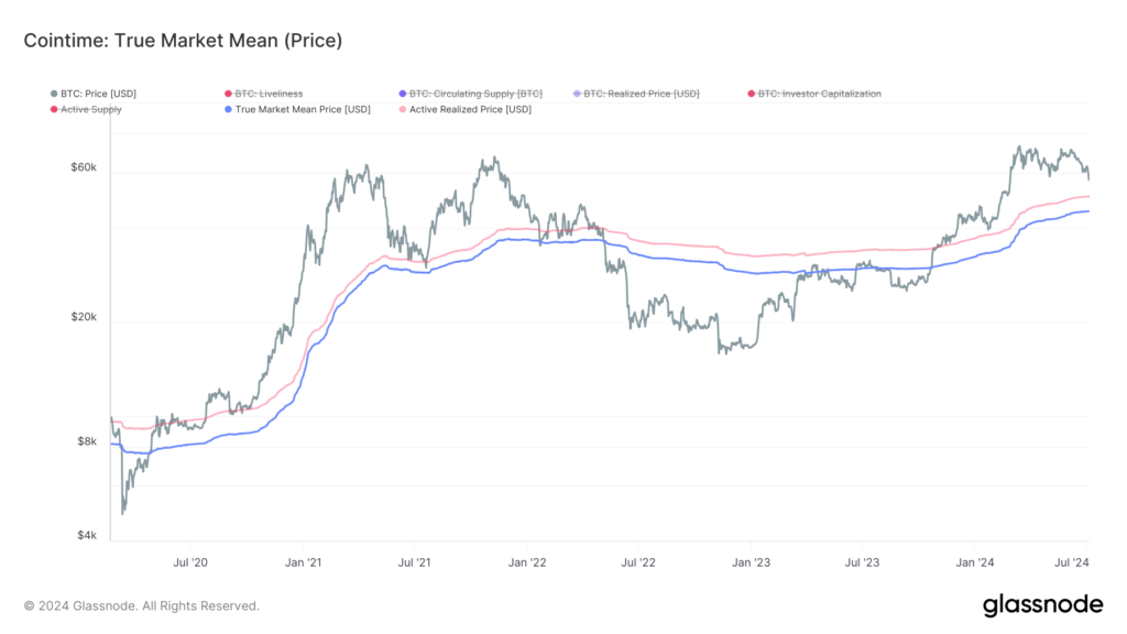 glassnode-studio_cointime-true-market-mean-price-_1_ (1)